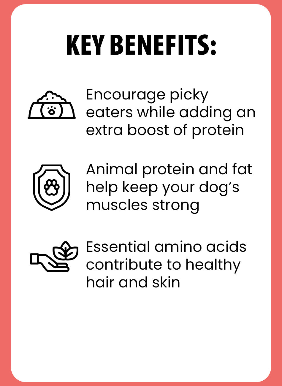 Get Dried Beef With Bone Broth For Dog Natural Protein