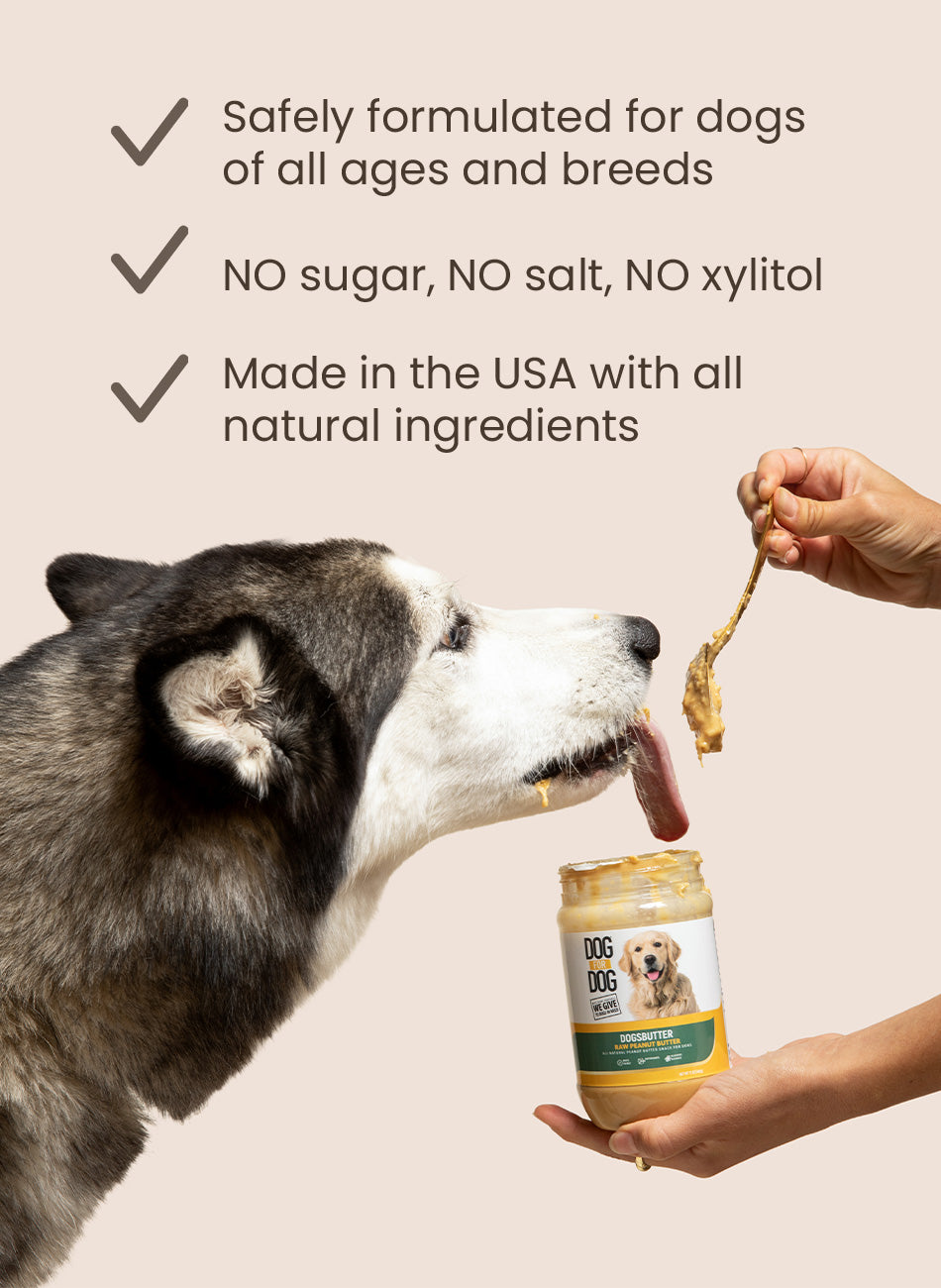 Get Online Natural Raw Dogs Butter Dog Food 17oz