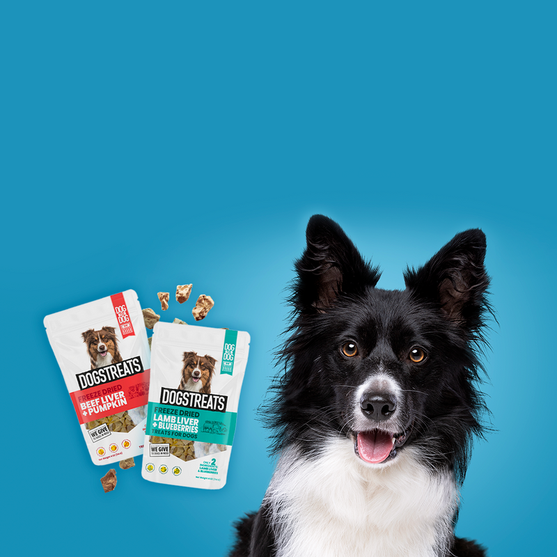 Shop Premium & Nutritious Dog Food for a Healthy Diet