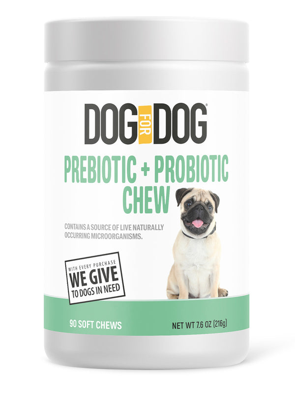 Prebiotic + Probiotic Supplement Soft Chew