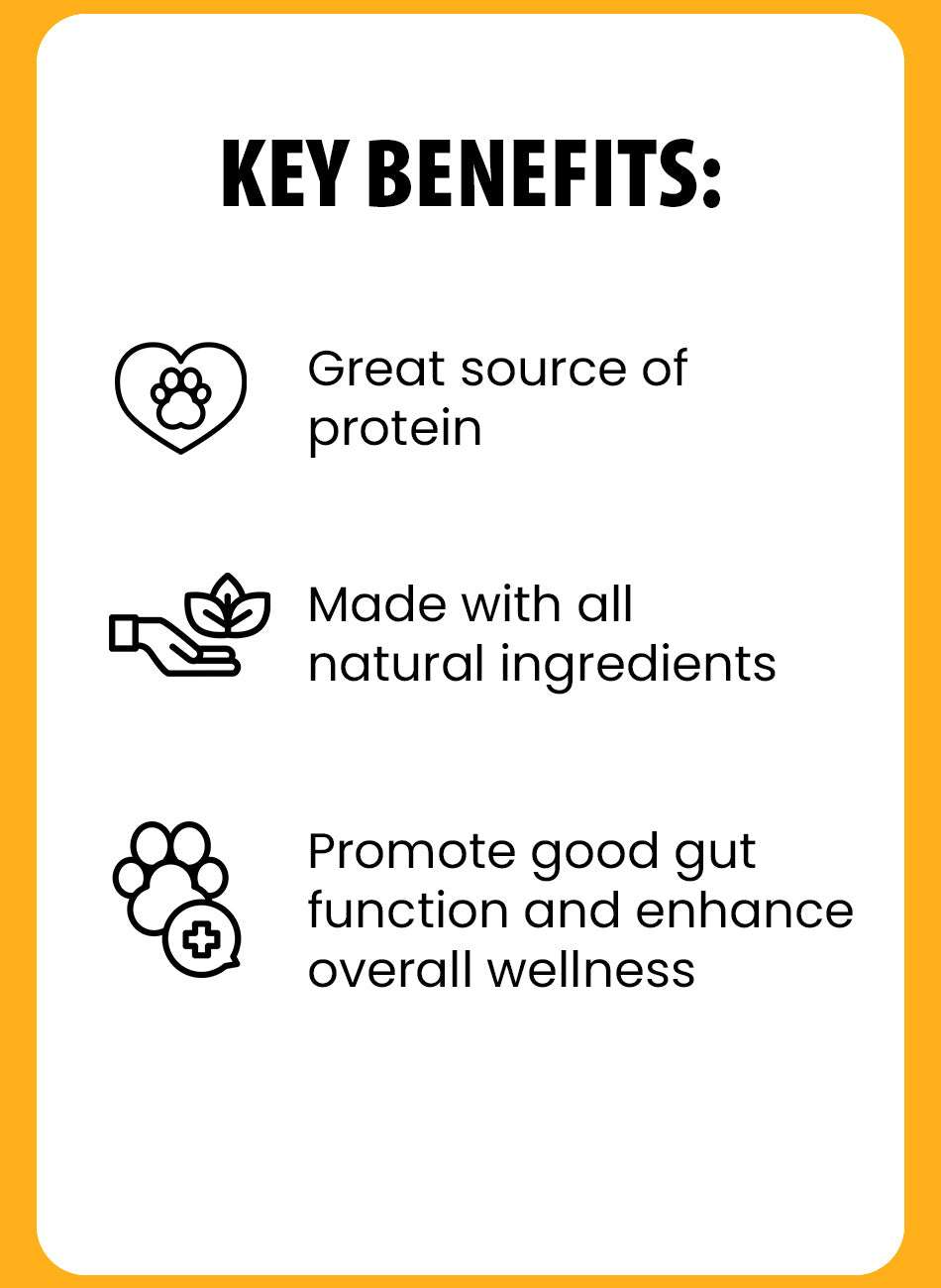 Get Online Natural Raw Dogs Butter Dog Food 17oz