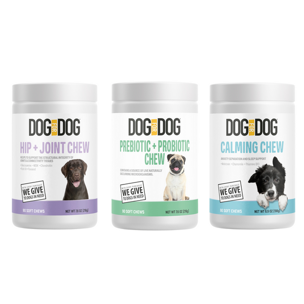 Healthy Body Supplement Bundle